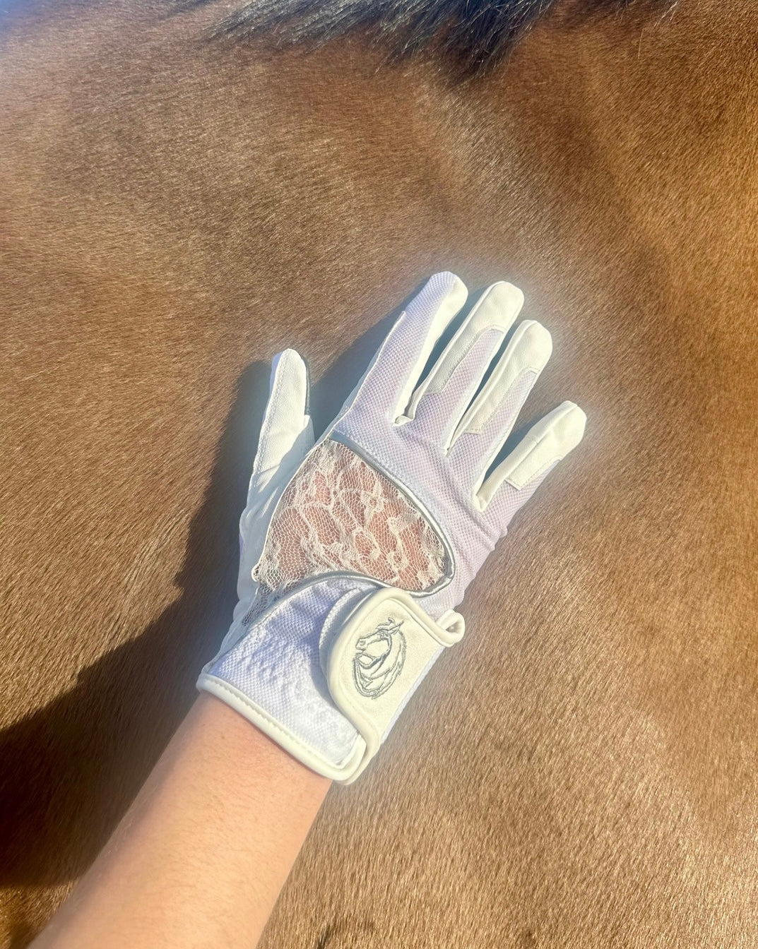 Riding Gloves
